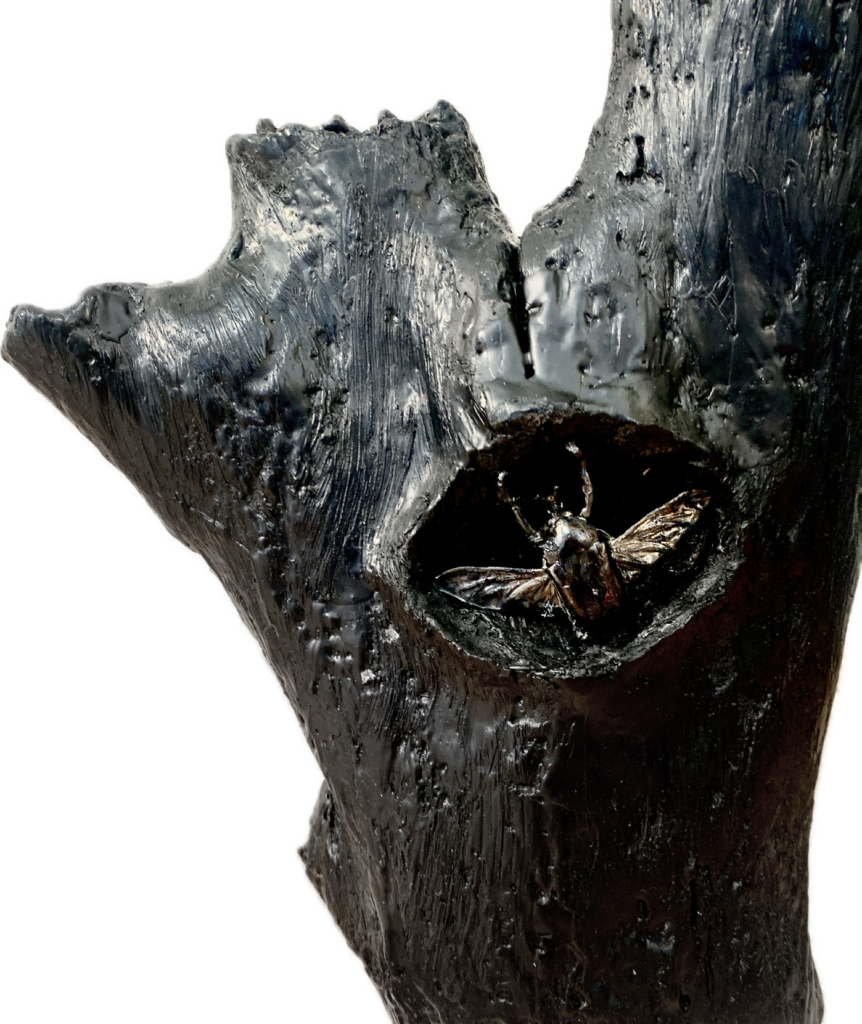 expo-musee-beaufort-2026-2