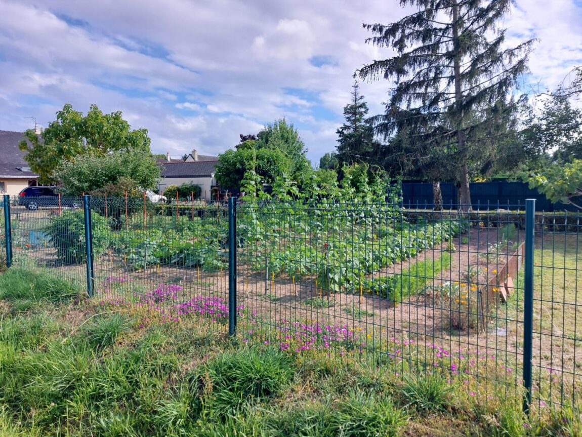 Concours des jardins fleuris et potagers 2026 : les inscriptions sont ouvertes !