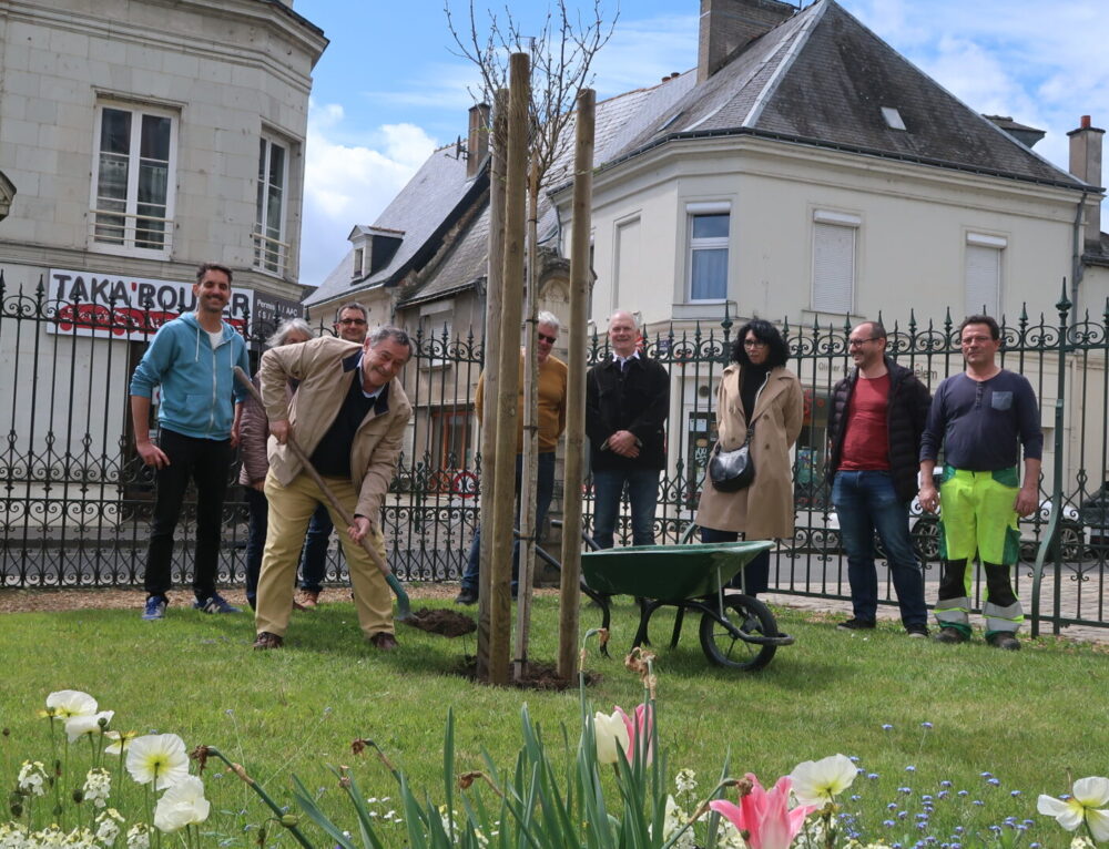 Les élus plantent un Ginkgo biloba dans le patio de la Mairie