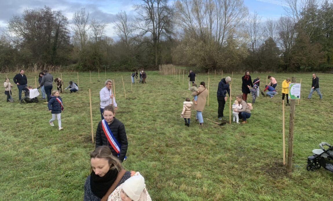 Un arbre pour chaque nouveau-né à Beaufort-en-Anjou