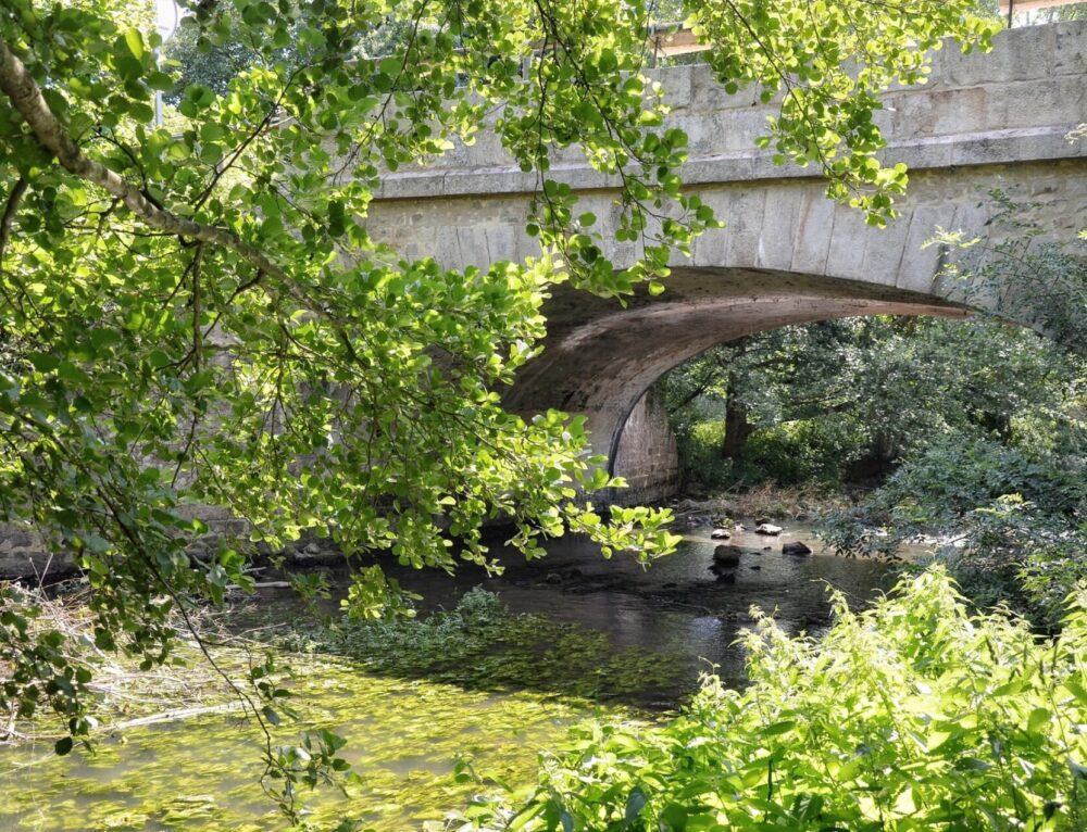 Sentier marais et patrimoine : un circuit à découvrir