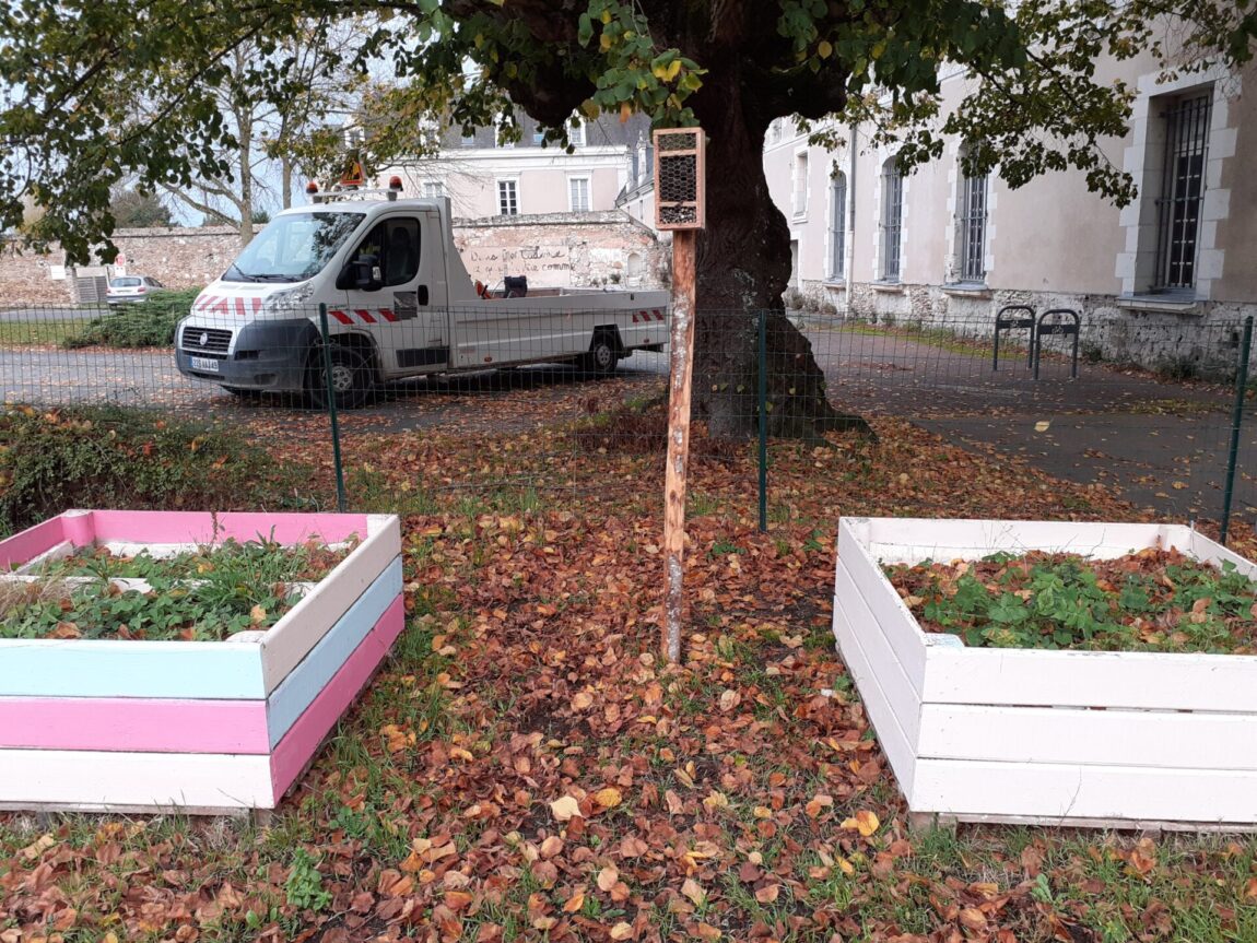 Le CMJ offre de nouveaux refuges à la nature