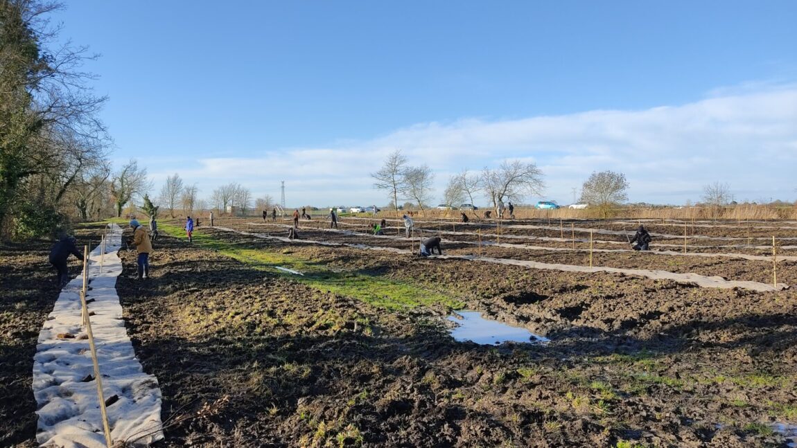 450 arbres ont été plantés au Grand Buzet, défi relevé !