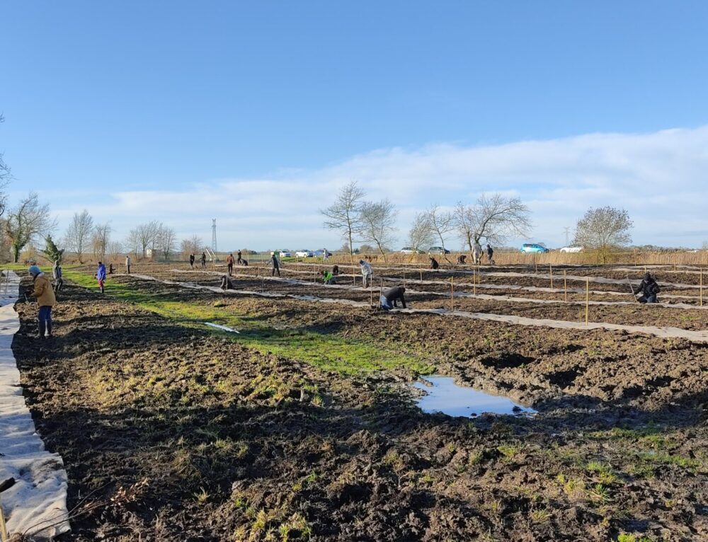 450 arbres ont été plantés au Grand Buzet, défi relevé !