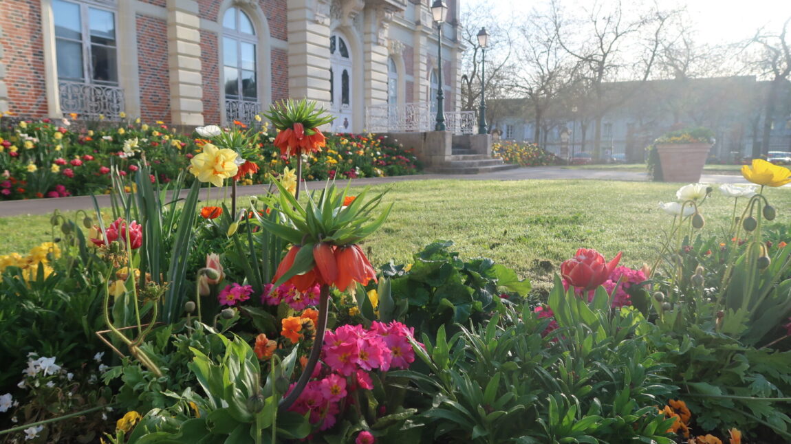 La ville s’habille aux couleurs du printemps