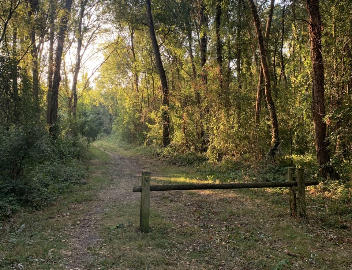 Idées de sorties à Beaufort-en-Anjou